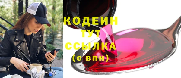 крисы Абаза