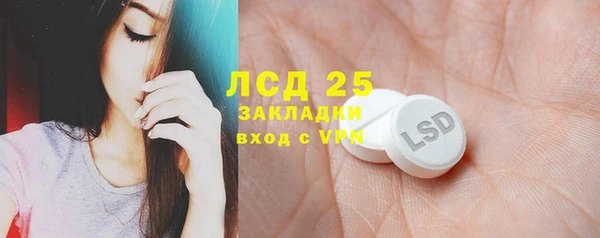 крисы Абаза