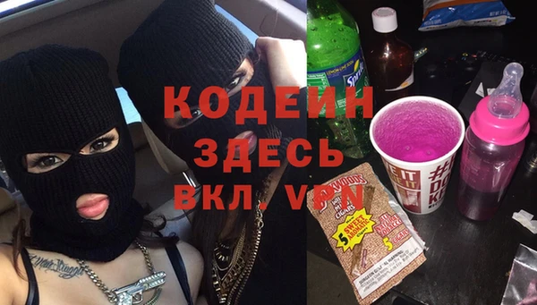 крисы Абаза