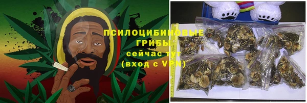 крисы Абаза