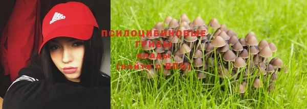 крисы Абаза