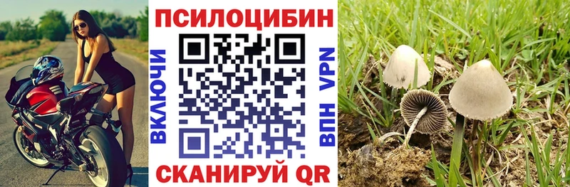 продажа наркотиков  Приволжский  Псилоцибиновые грибы MAGIC MUSHROOMS 